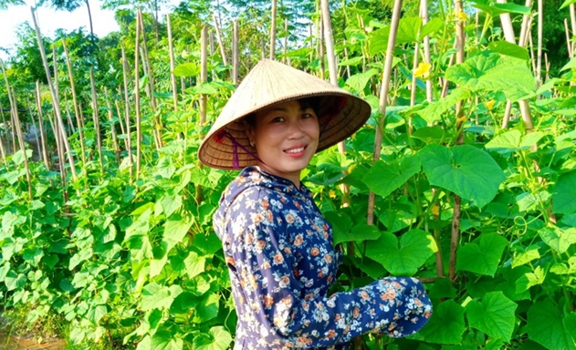 Chị Hoàng Thị Thức từ bỏ công việc kế toán ổn định để làm rau sạch