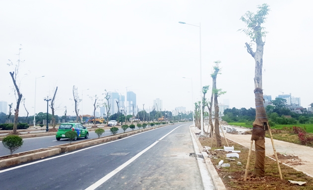 Giá đất tại những khu vực có hạ tầng kết nối tăng mạnh