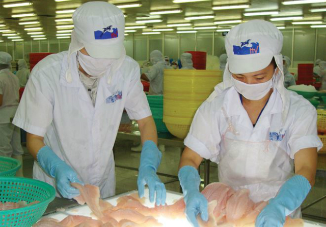 Cổ phiếu HVG tăng trần trong phiên 22/8