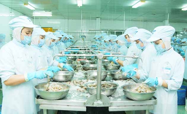 XK tôm được kỳ vọng sẽ phục hồi tăng trưởng trong những tháng cuối năm