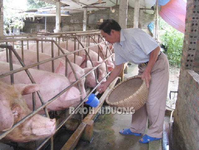 HTX thực hiện nghiêm ngặt các biện pháp phòng chống và kiểm soát dịch bệnh (Ảnh: Báo Hải Dương)