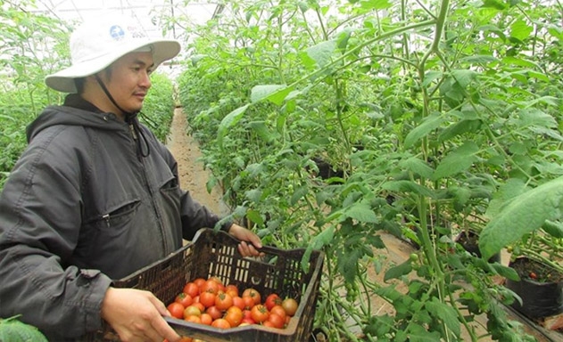Thành viên và người dân đã không còn hời hợt với “bờ xôi, ruộng mật”