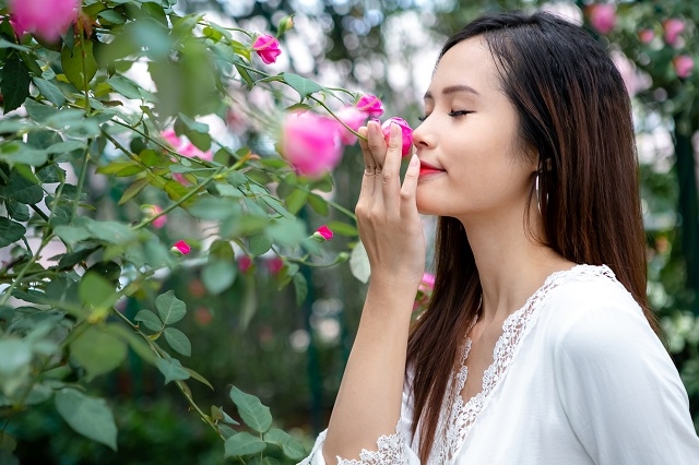 Lấy khung cảnh “triệu đóa hồng”, trời xanh, nắng vàng của Vinpearl Nha Trang làm nền, mọi khoảnh khắc lưu giữ tại đây đều vô cùng thơ mộng và tình tứ.