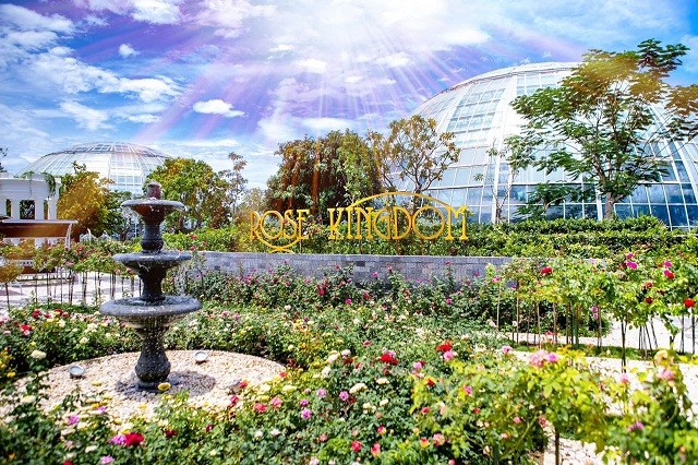 Dạo bước giữa vương quốc tình yêu Kiểu hẹn hò đơn giản nhất ở Nha Trang mùa thu này là chỉ cần đưa nhau đến Vương quốc hoa hồng – Rose Kingdom trên đỉnh Đồi Vạn Hoa. Đây sẽ là “vương quốc tình yêu” lý tưởng để các cặp đôi sánh bước bên nhau và lưu lại những khoảnh khắc đẹp nhất.