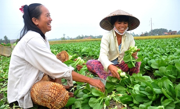 HTX RAT Gò Công ghi dấu ấn đậm nét trong xây dựng NTM