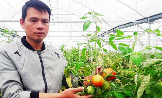 Mô hình của Tuấn Anh đã mang lại thu nhập hàng trăm triệu đồng mỗi năm