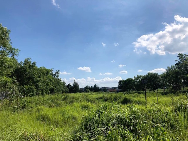 Nghị định 45 sửa đổi sẽ tháo gỡ một số bất cập về tiền sử dụng đất (Ảnh minh hoạ: Internet)