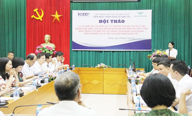 Luật HTX 2012 xuất hiện nhiều điểm không còn phù hợp với thực tiễn