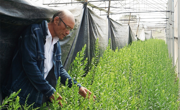 Giám đốc Ngô Hữu Quang thăm vườn hoa trồng trong nhà kính của HTX