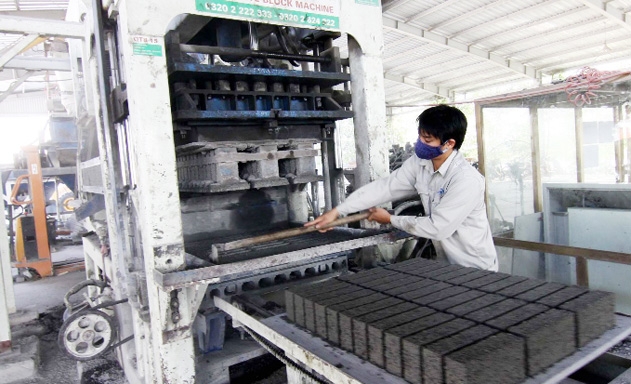 Sản xuất hiệu quả, HTX đang đóng góp tích cực cho xây dựng NTM