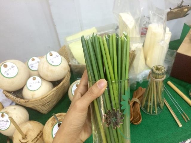 Sản phẩm thân thiện với môi trường từ cây cỏ bàng (Ảnh Internet)