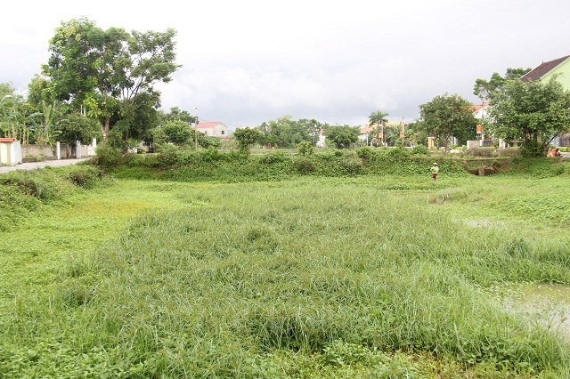 Toàn cảnh khu vực xây dựng công trình Hợp tác xã với Bác Hồ tại xã Kim Liên