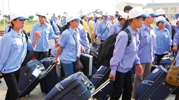 Công ty CP Quốc tế Nhật Minh và Công ty CP xuất nhập khẩu Tổng hợp II bị thu hồi giấy phép hoạt động dịch vụ đưa người lao động đi làm việc tại nước ngoài.(Ảnh Internet)