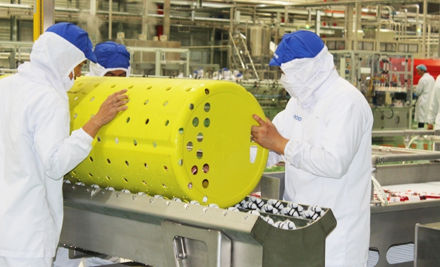 DN Việt phải thích ứng các quy định trước những “rào cản” bảo hộ