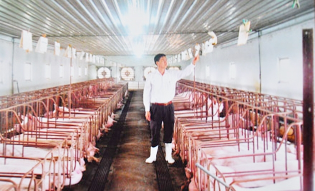 Việc chăm sóc đàn lợn nuôi trong HTX của ông Thanh còn có phiếu ghi chép theo dõi