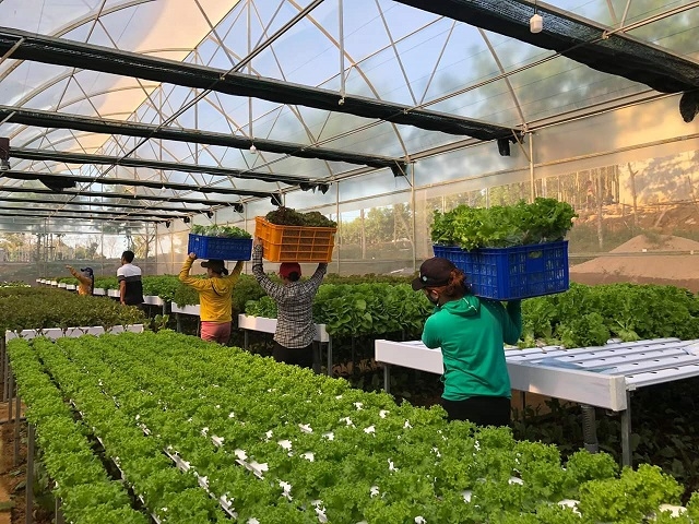 Qúa trình sản xuất của HTX được vận hành bằng công nghệ hiện đại