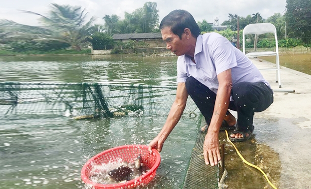 Mỗi ngày, HTX bán trên dưới 10.000 con cá giống, thu khoảng 50 triệu đồng