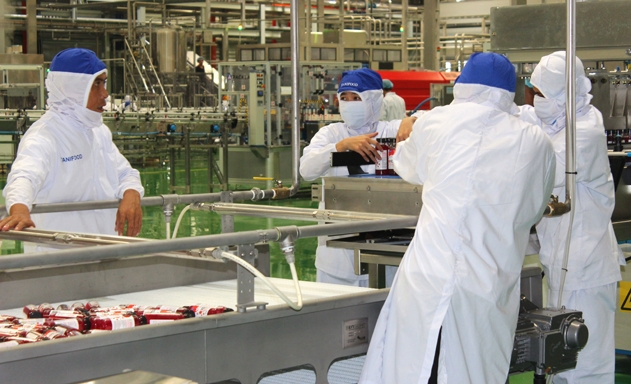 DN Việt cần tính toán dài hơi trước rủi ro trong XK