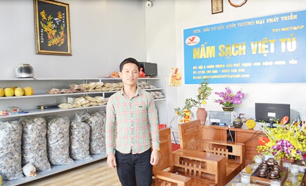 Hàng năm, trừ chi phí, HTX thu lãi trên 400 triệu đồng