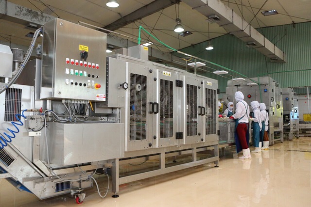 Trung tâm chế biến rau quả Doveco Gia Lai chính thức hoạt động (Ảnh Internet)