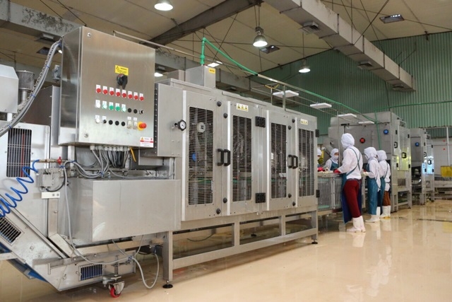 Trung tâm chế biến rau quả Doveco Gia Lai chính thức hoạt động (Ảnh Internet)