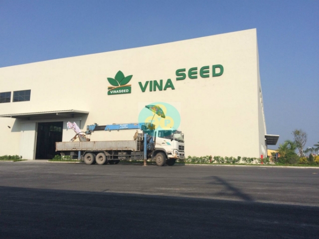 Tổng số tiền mà Vinaseed bị phạt, truy thu, chậm nộp thuế là 967 tỷ đồng