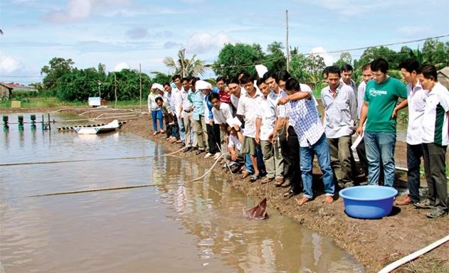 HTX mở hội nghị thành viên công khai bên bờ ao nuôi tôm
