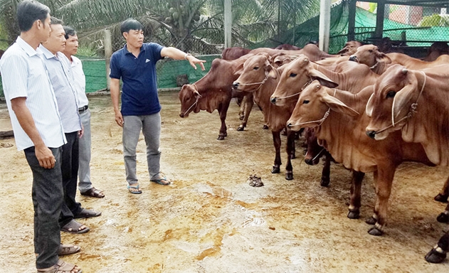 HTX được nhiều đơn vị đến tham quan học hỏi