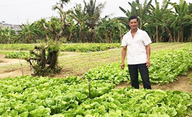 HTX cung cấp hơn 1 tấn rau ra thị trường mỗi ngày