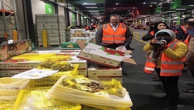 Lô nhãn Việt Nam lần đầu tiên xuất khẩu vào Úc đã bị 'tuýt còi'