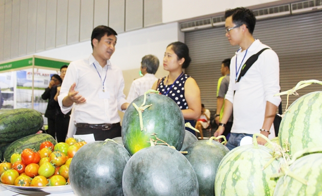 Doanh nghiệp XK nông sản đang gặp nhiều thách thức lớn