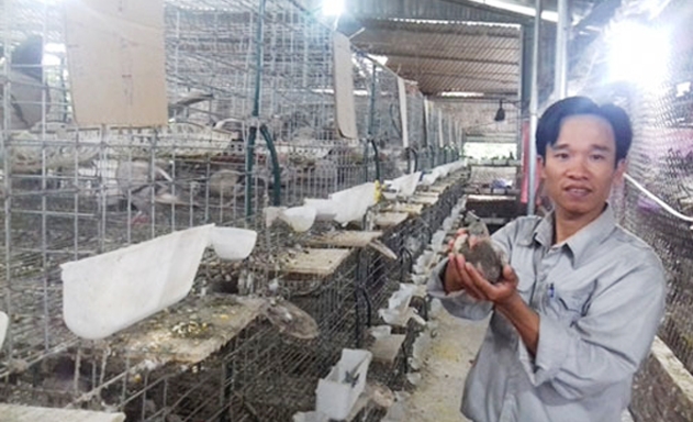 Lợi nhuận của HTX đạt trên 1 tỷ đồng mỗi năm