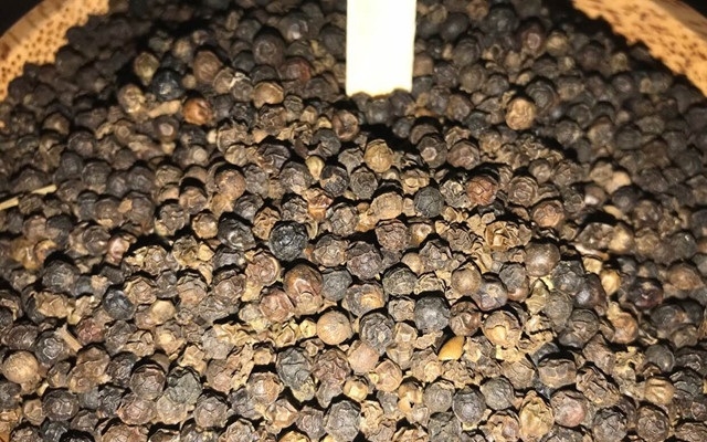 Sau một tuần lao dốc, giá hạt tiêu ngày đầu tuần vẫn chưa có tín hiệu sáng hơn khi phiên mở đầu ngày 23/9 tiếp tục giảm đến 0,67%.(Ảnh Internet)