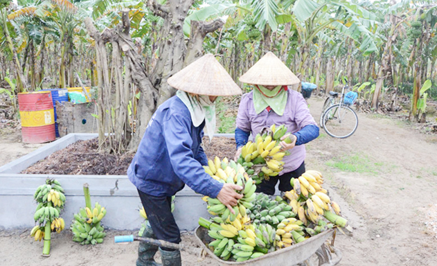 Phát triển nông nghiệp CNC là giải pháp trọng điểm giúp Lương Tài hoàn thành các mục tiêu NTM