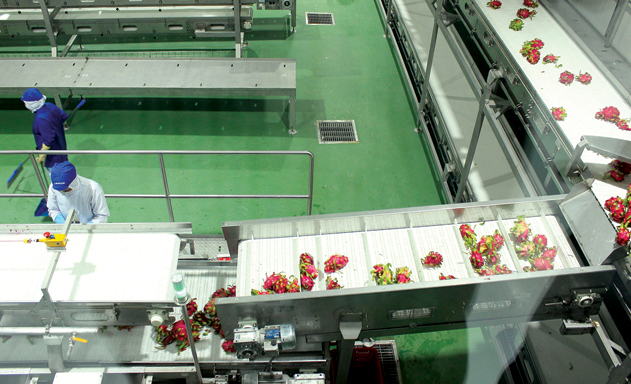 DN đầu tư vào chế biến nông sản còn gặp nhiều trở ngại