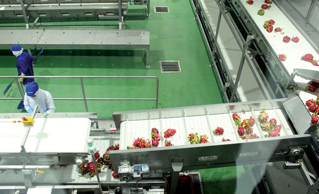 DN đầu tư vào chế biến nông sản còn gặp nhiều trở ngại