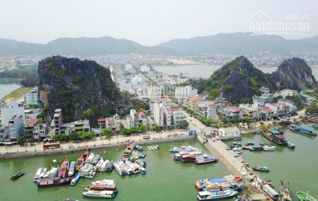 UBND tỉnh Quảng Ninh đồng ý chủ trương nghiên cứu quy hoạch dự án Vega City Vân Đồn (Ảnh: Internet)