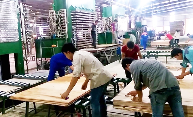 Đề xuất cấm XK nếu phát hiện có hành vi gian lận thương mại trong ngành gỗ