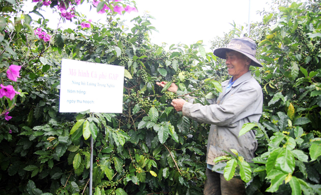 Hiệu quả dạy nghề đang là bệ phóng cho nông dân Đà Lạt khởi nghiệp làm giàu
