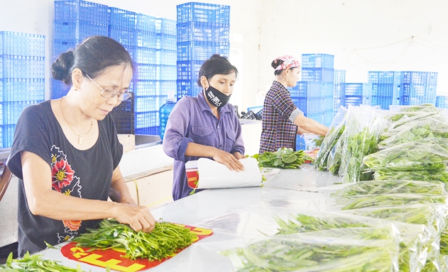 Sự đầu tư phát triển sản phẩm OCOP tại Phú Thọ đang góp phần thúc đẩy NTM