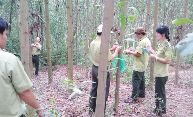 THT tuần tra bảo vệ rừng thuộc bản Khe Trăn, xã Phong Mỹ mới được thành lập