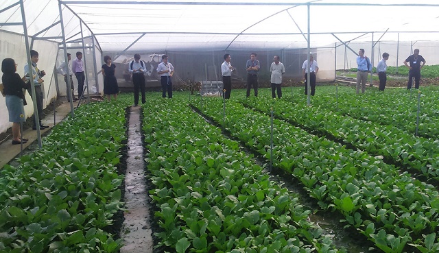 Tây Ninh tạo điều kiện cho những người đứng đầu HTX, thành viên HTX nâng cao kiến thức quản lý và sản xuất