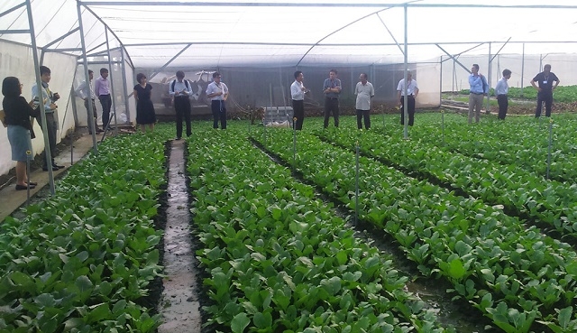 Tây Ninh tạo điều kiện cho những người đứng đầu HTX, thành viên HTX nâng cao kiến thức quản lý và sản xuất