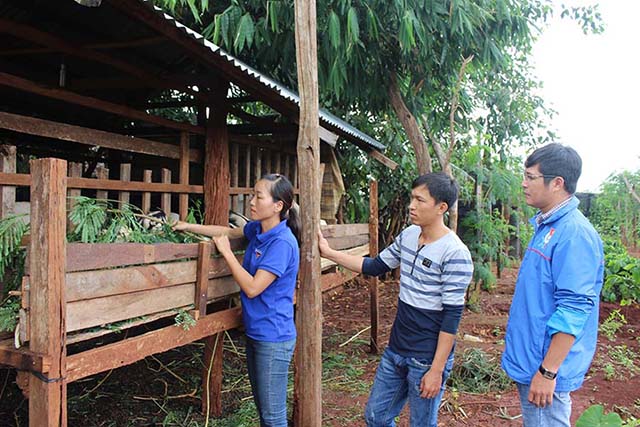 Mô hình chăn nuôi dê của HTX Chăn nuôi dê xã Ia Blứ