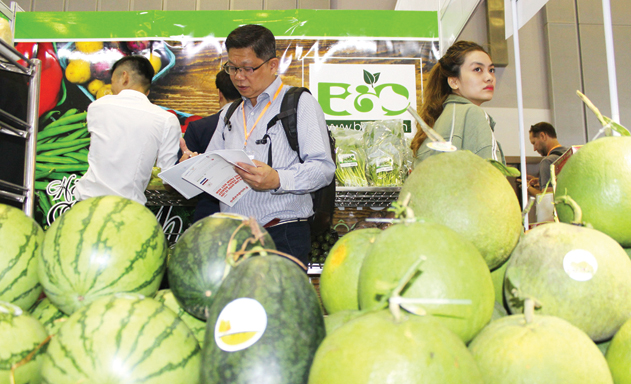 XK nông sản dễ gặp rủi ro nếu DN chậm cập nhật thông tin mới