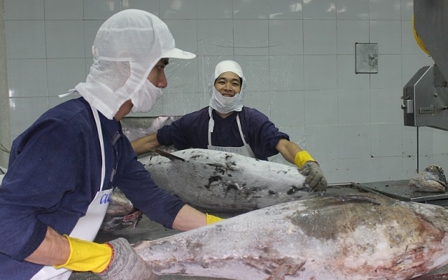 Sẵn sàng làm việc với Đoàn kiểm tra EC về thẻ vàng thủy sản (Ảnh Internet)