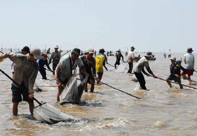 Môi trường ven biển được bảo vệ nhờ ý thức sản xuất của người dân