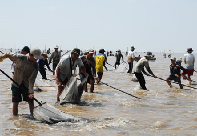 Môi trường ven biển được bảo vệ nhờ ý thức sản xuất của người dân