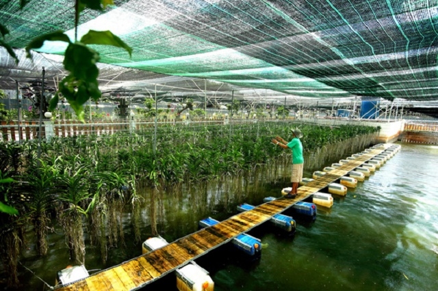 Nông nghiệp CNC đã tạo việc làm cho khoảng 1,2 triệu lao động nông thôn ở Tp HCM