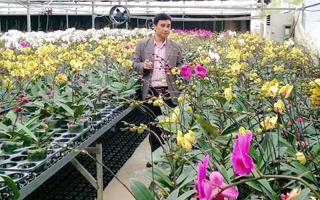 Nông nghiệp công nghệ cao đang được chú trọng đào tạo ở Tp Hồ Chí Minh